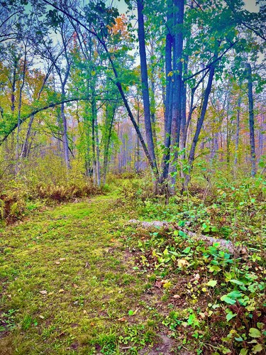 9 Acres of Secluded Freedom along the Kettle River in Sturgeon Lake, MN