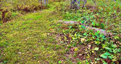 9 Acres of Secluded Freedom along the Kettle River in Sturgeon Lake, MN