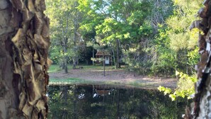 A cabin surrounded by trees and a pond. - Peacefull Cabin in the Woods with heat/air conditioning (Marietta)