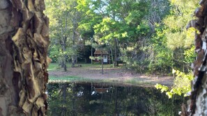 Property grounds - Peacefull Cabin in the Woods with heat/air conditioning (Marietta)