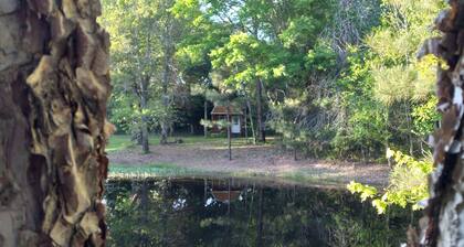 Peacefull Cabin in the Woods with heat/air conditioning