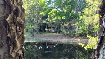 Peacefull Cabin in the Woods with heat/air conditioning