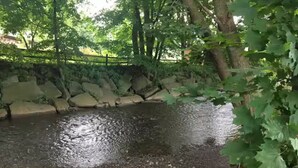 Een natuurlijk landschap met een rotsachtige rivieroever, dichte begroeiing en een houten omheining.
