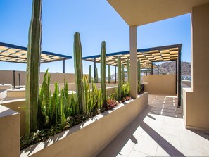 2 bedrooms - Sea Esta in Cabo San Lucas (Cabo San Lucas)