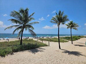 Een zandstrand met palmbomen en een helderblauwe lucht.