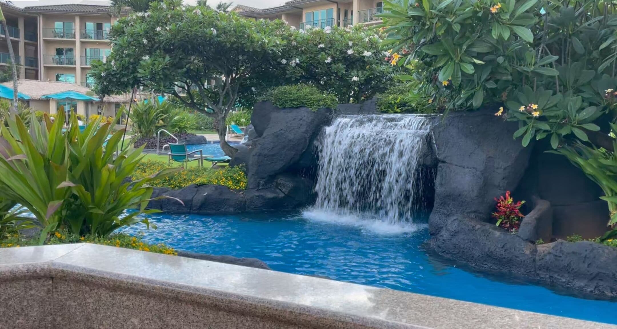 屋外プール、温水プール