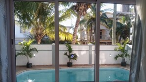 Una habitación con un ventanal grande que da a una piscina, rodeada de plantas en macetas y palmeras.