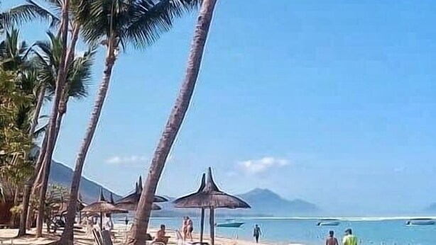 Una playa con palmeras, sombrillas y gente caminando.