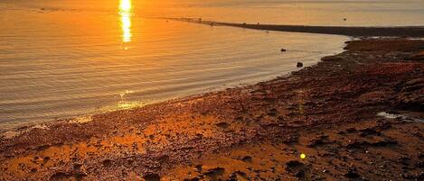 Plage à proximité, chaises longues, serviettes de plage