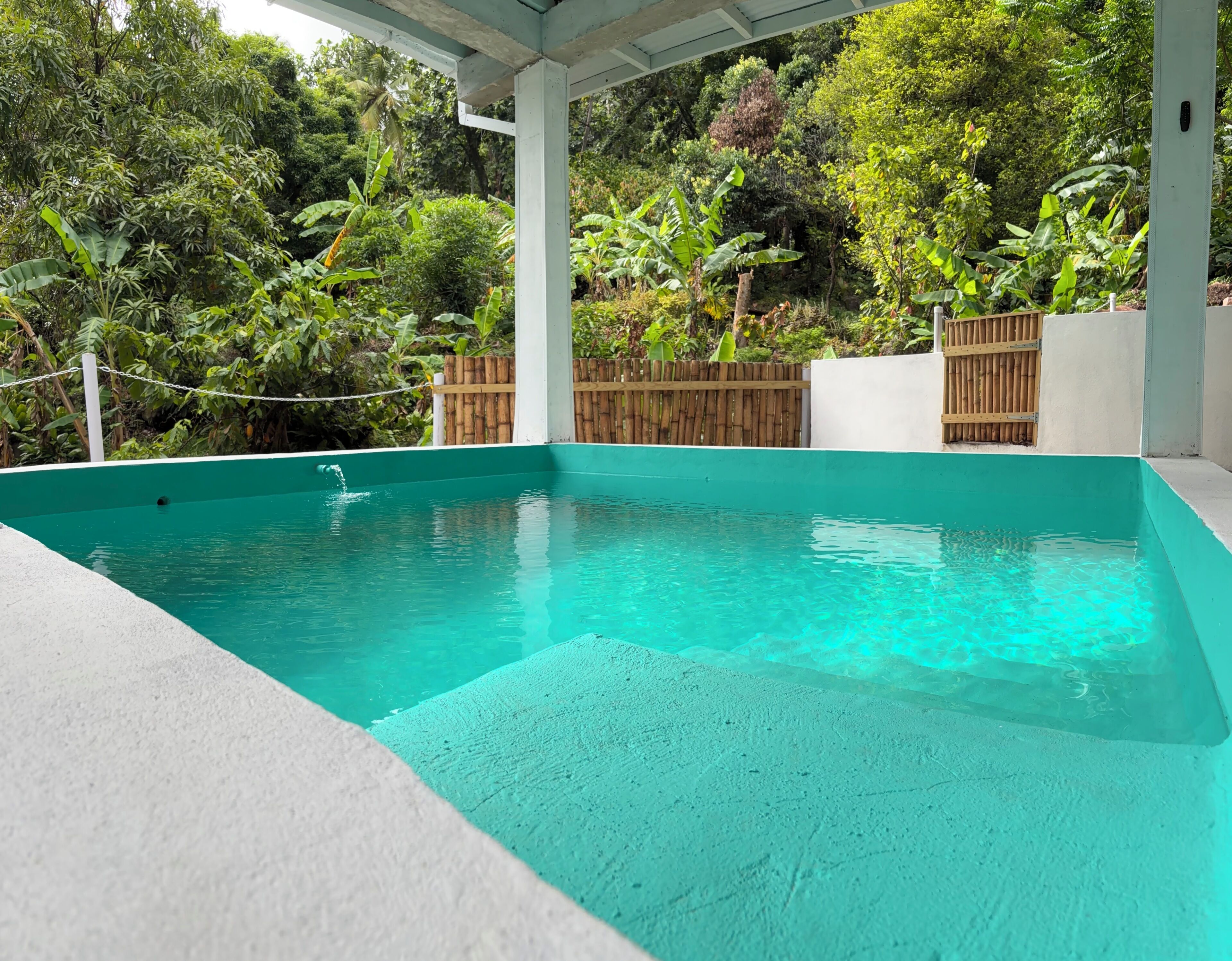 A swimming pool with clear water, surrounded by lush greenery and a wooden fence.