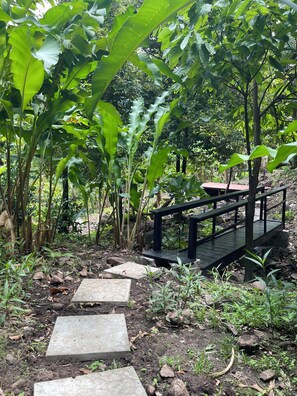 Property grounds - Peaceful Retreat in Nature. Charming Cottage in Soufrière. (Soufrière)