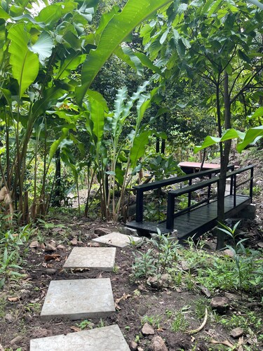 Peaceful Retreat in Nature. Charming Cottage in Soufrière.