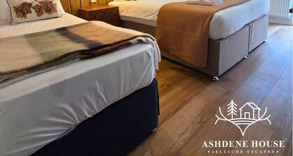 The Distinguished Squirrel - Room 4 - New Forest