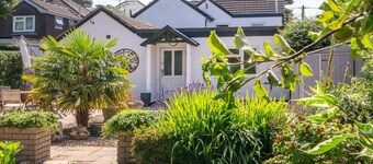 Duke of the Pond - Room 1 - New Forest