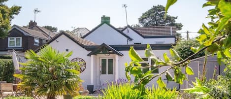 A house with a garden, a palm tree, and a variety of plants.