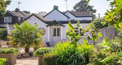 Duke of the Pond - Room 1 - New Forest