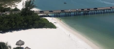 A beach with a pier extending into the water, palm trees, and beach umbrellas.