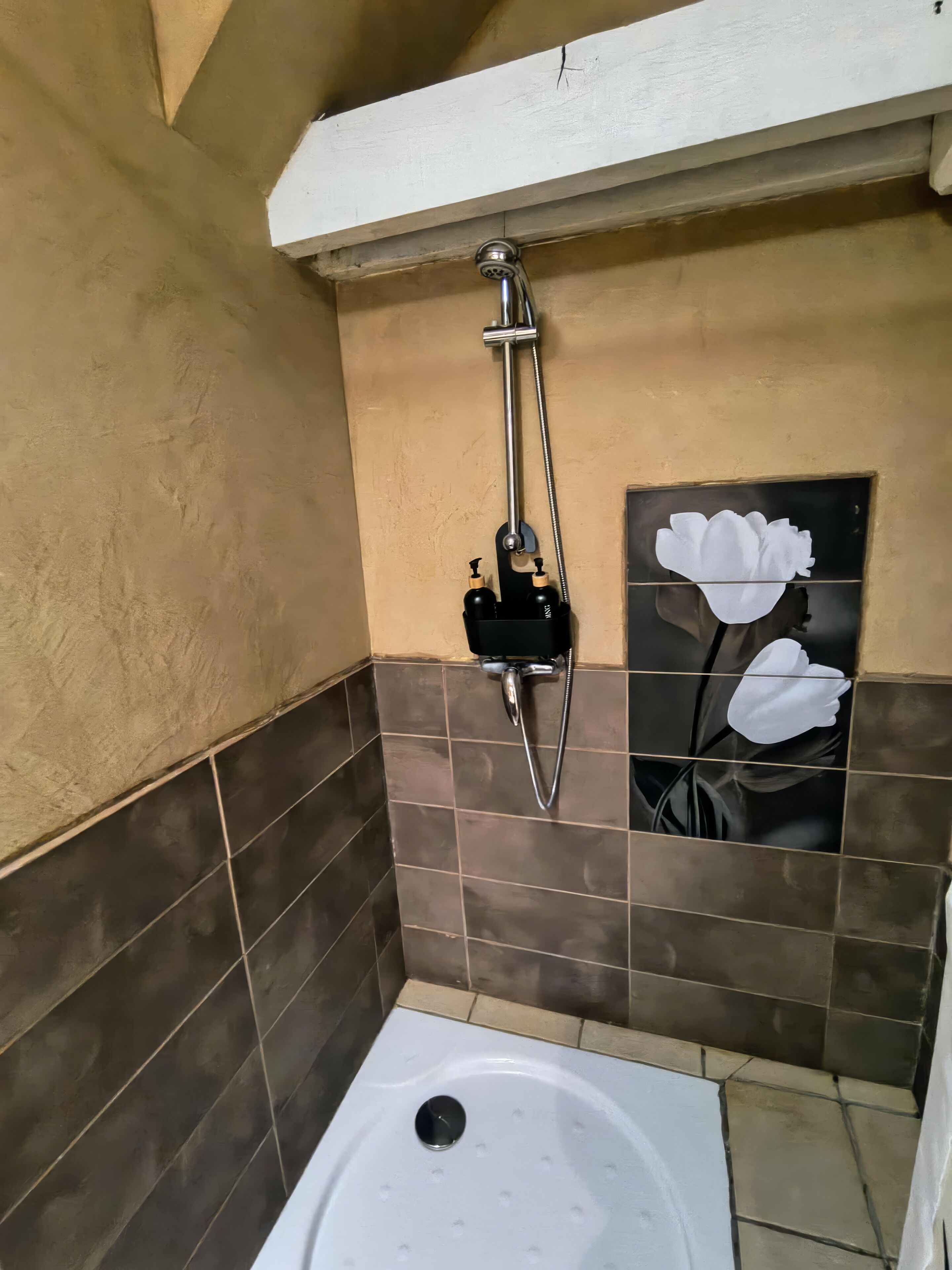 A bathroom with a shower, a toilet, and a decorative wall panel.