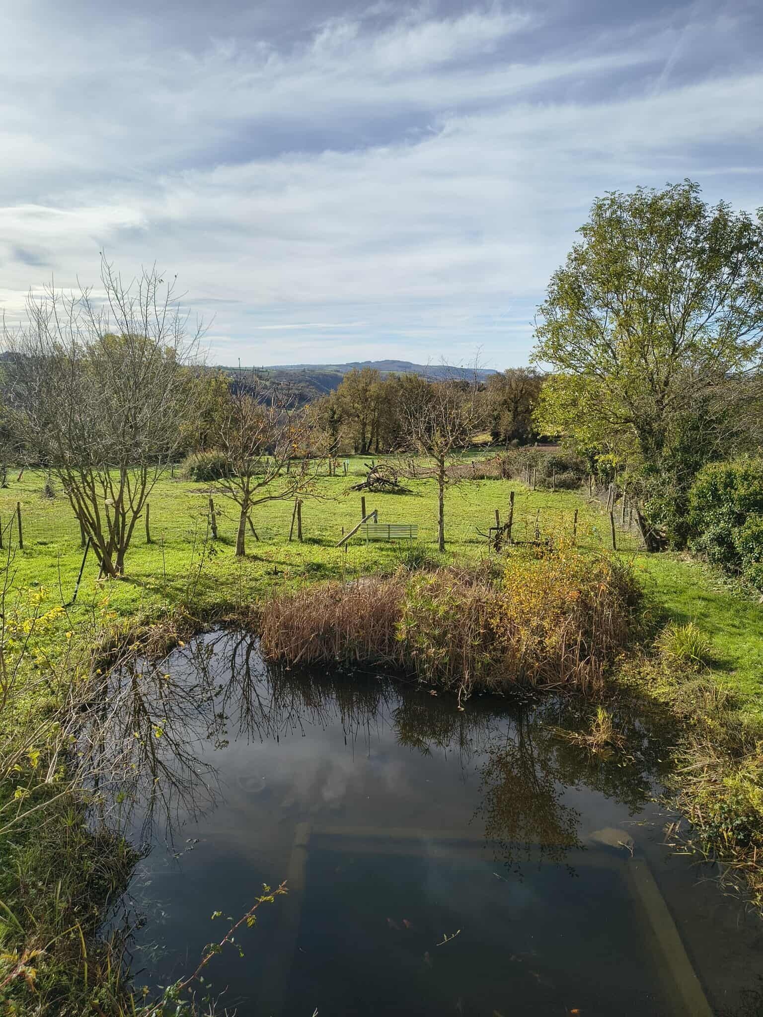 Een landelijk landschap met een klein vijvertje, bomen en een hek.