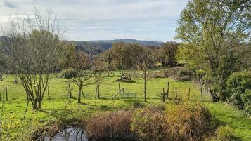 Een landelijk landschap met een klein vijvertje, bomen en een hek.