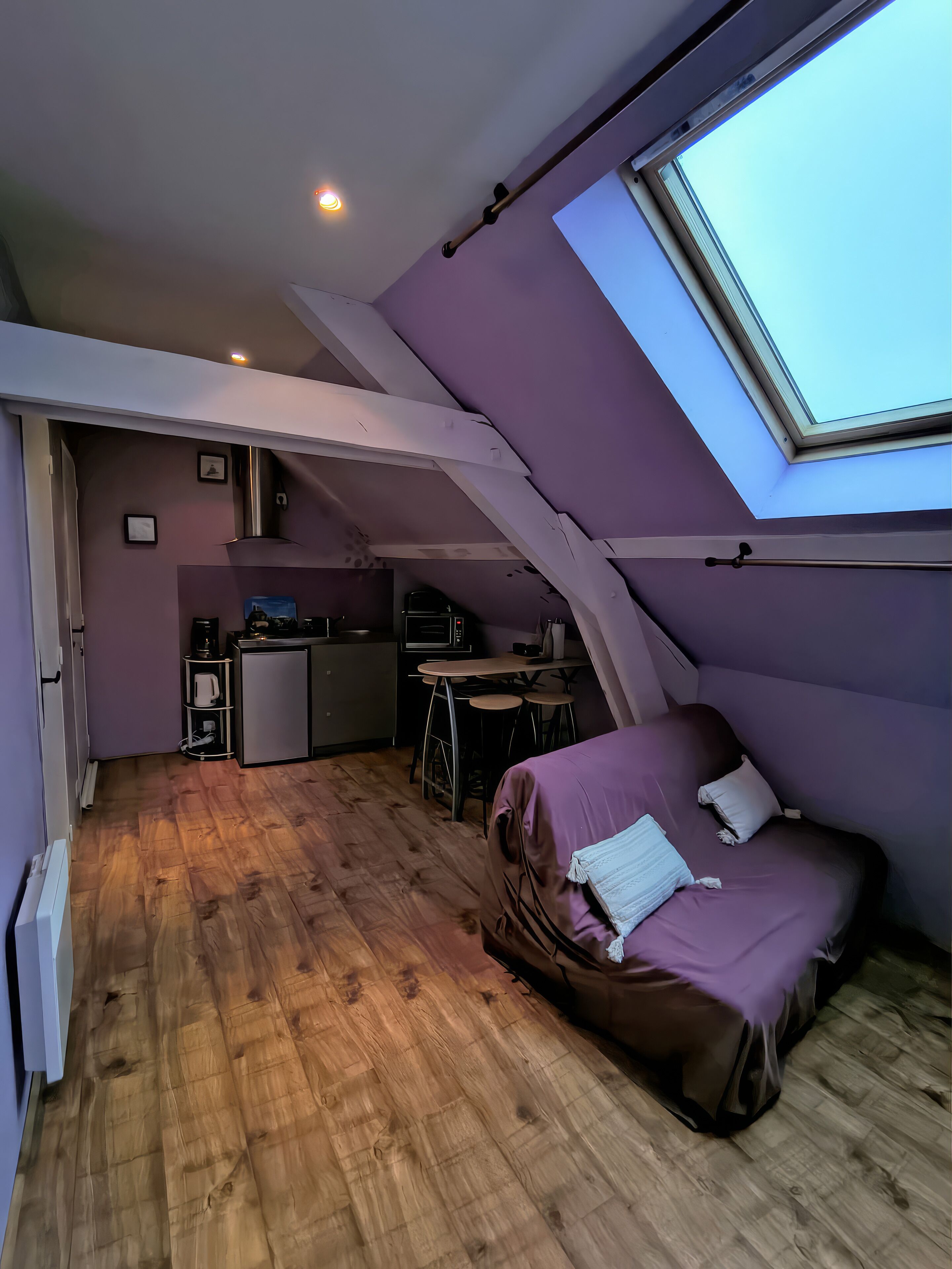 A compact room with a bed, kitchenette, and a skylight.