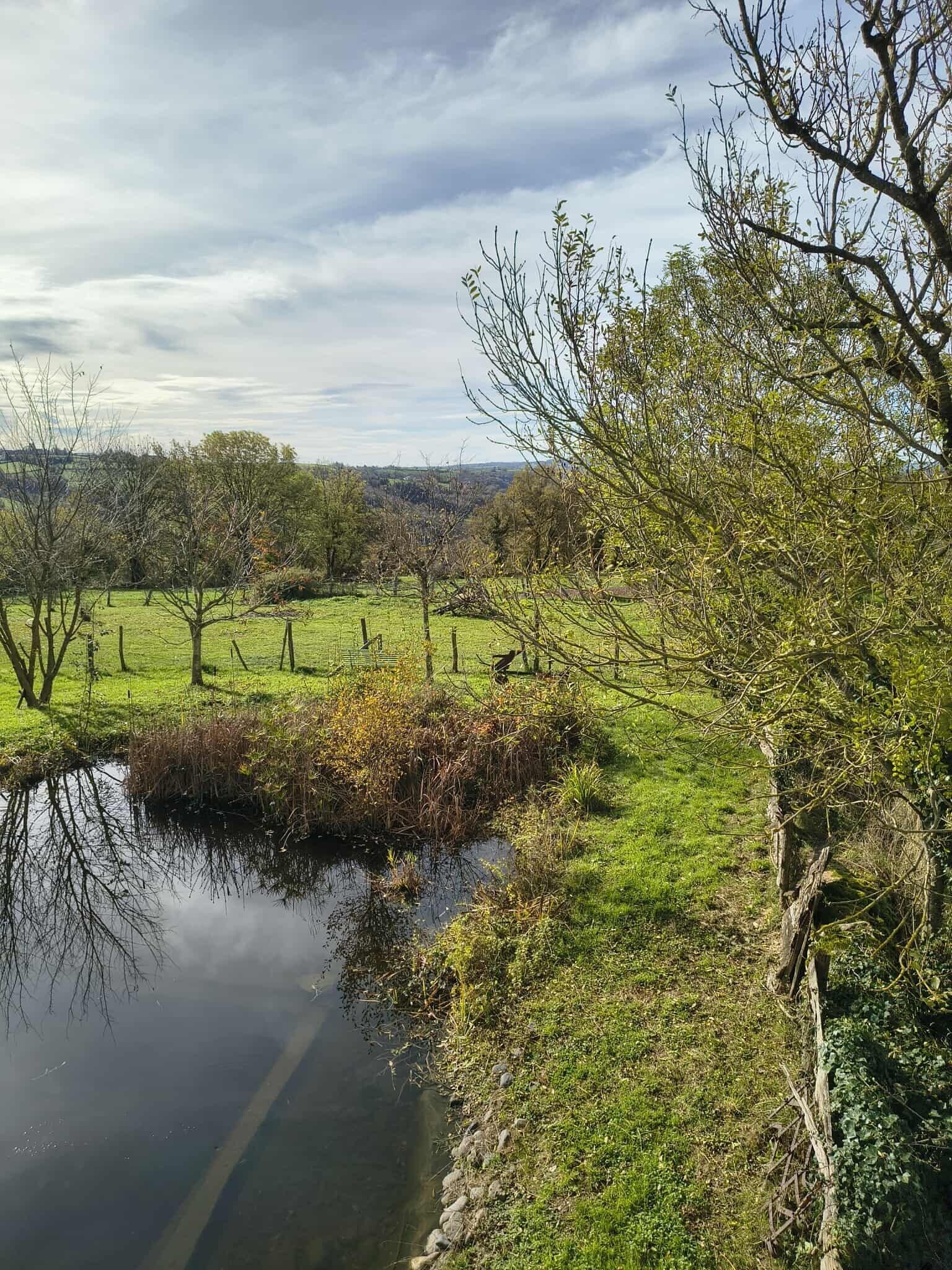Un paysage rural avec un étang, des arbres et un champ d’herbe.