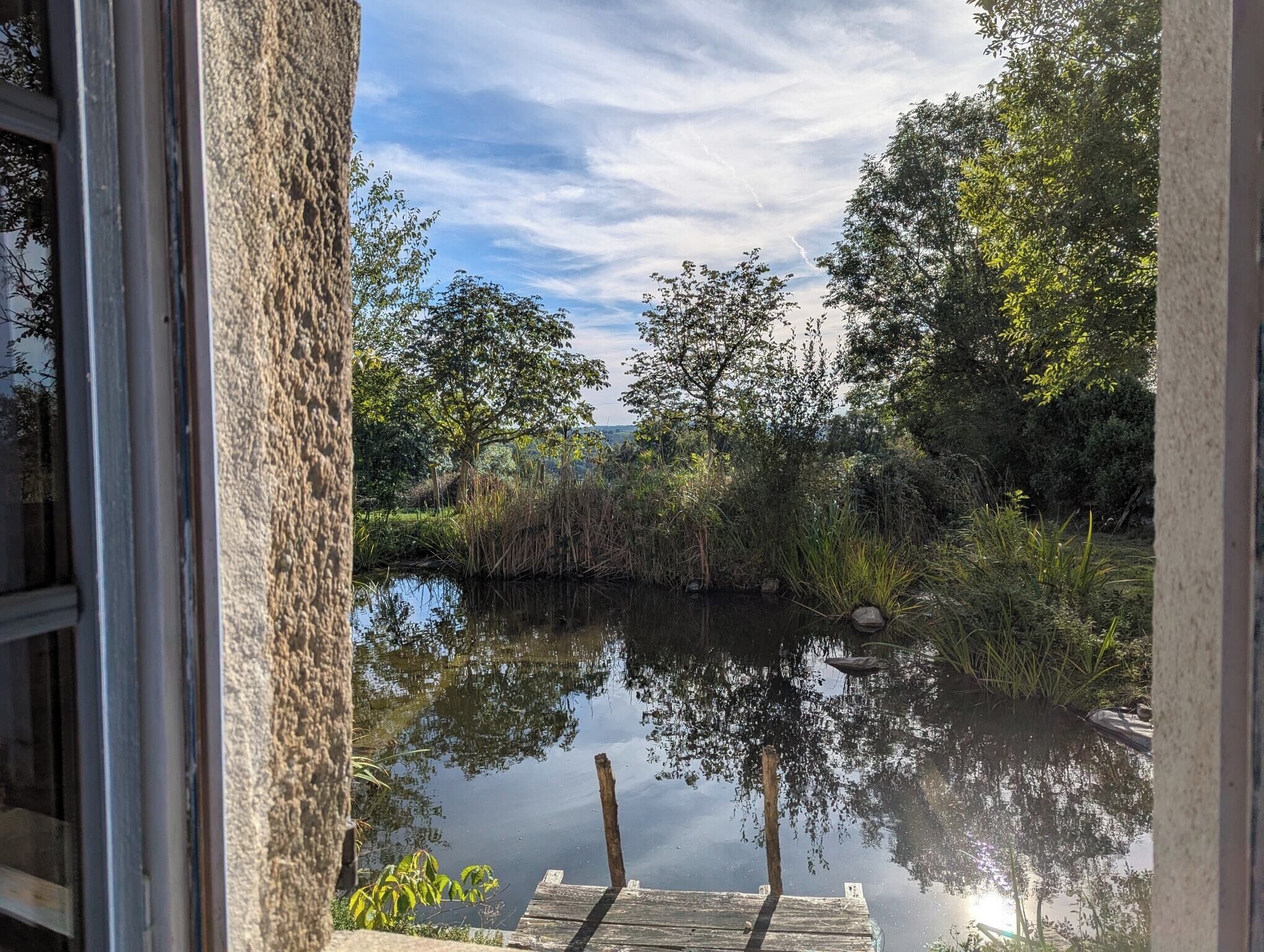 Comfort Double Room, 1 Queen Bed, Non Smoking, Pets Allowed | View from room