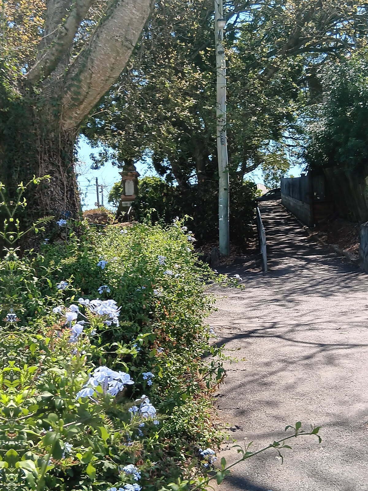 المنطقة المحيطة بالمنشأة