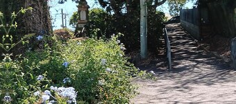 Paddington Tower View Cottage