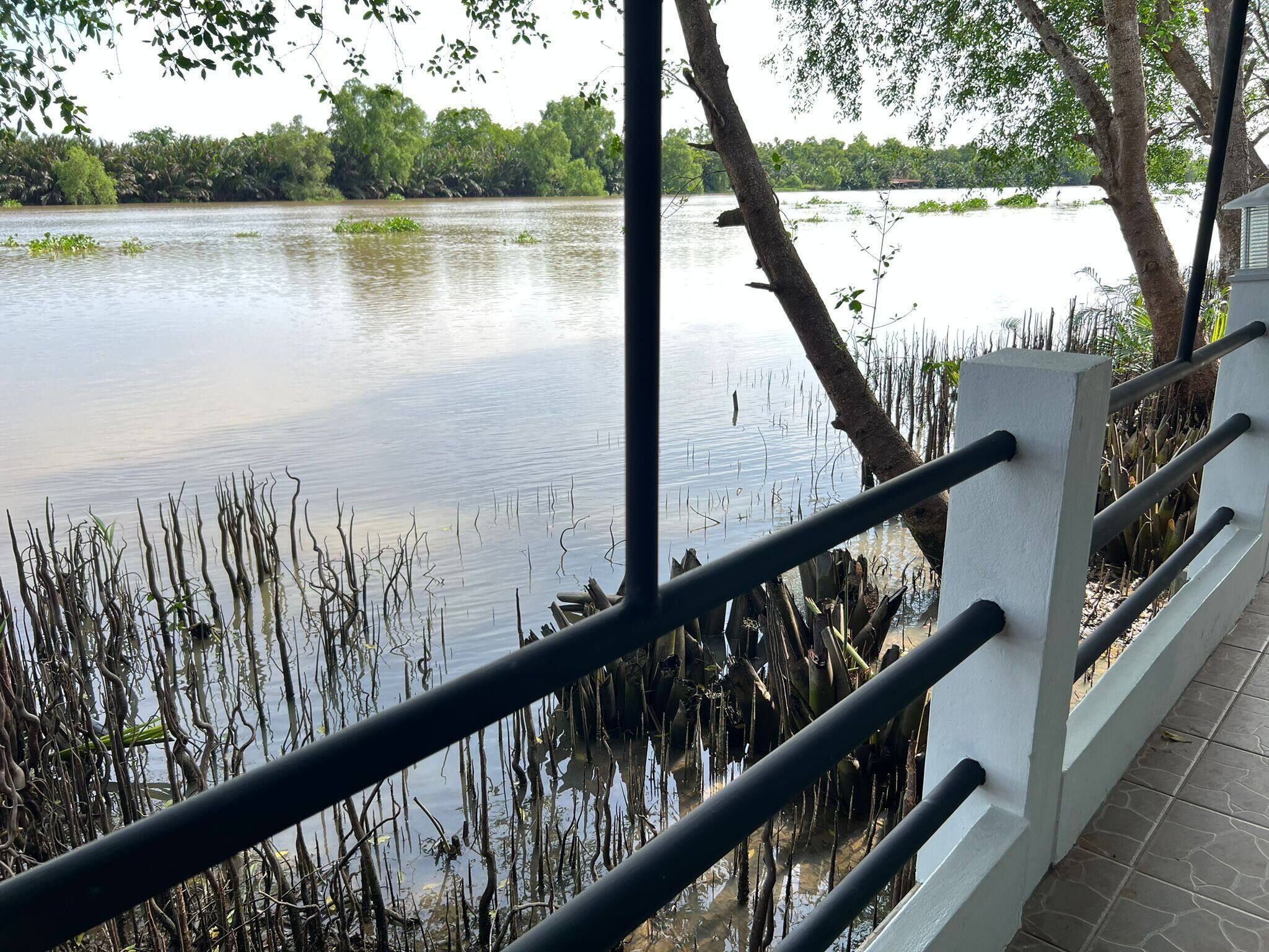 Phòng, 1 phòng ngủ, phù hợp cho người khuyết tật, hút thuốc | Vườn