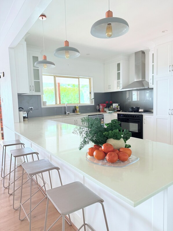 Microones, forn, placa de cuina i rentaplats 