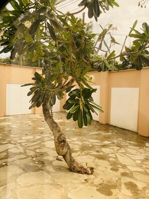 المنطقة المحيطة بالمنشأة