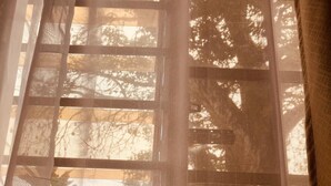 Una ventana con diseño de cuadrícula, que ofrece vistas a árboles y un edificio en el exterior.