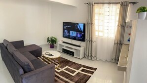 Una sala moderna con un sofá gris, una mesa de centro, un televisor de pantalla plana, una planta en maceta y una alfombra estampada.