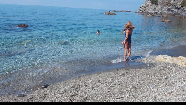 A pebbly beach with clear water and rocky outcrops. - BEACH FOREST CALM NATURE (Six-Fours-les-Plages)