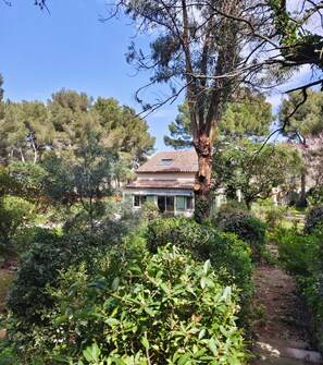 Jardines del alojamiento