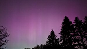 A night sky with a purple hue, stars, and silhouettes of trees. - Cozy up on Lake Osakis (Osakis)