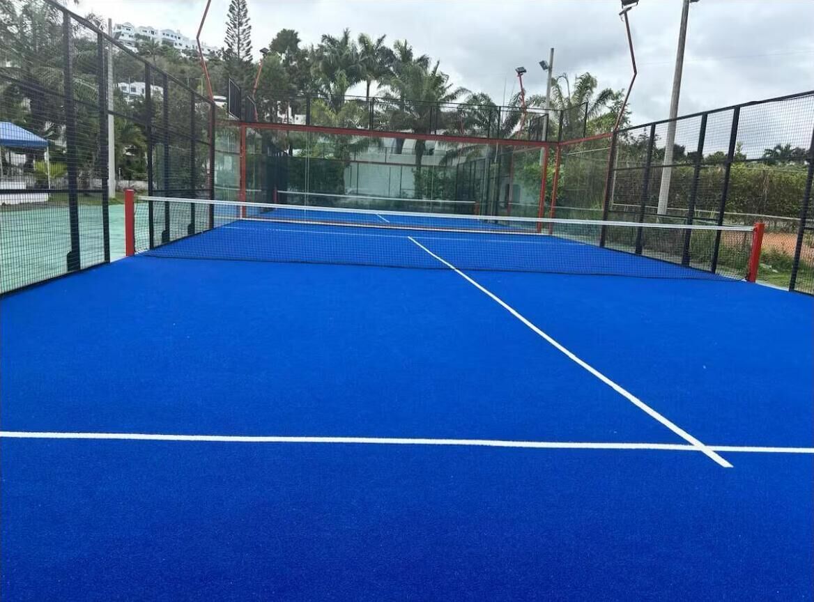 Un court de tennis avec une surface bleue et des lignes de démarcation blanches.