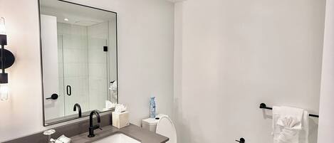 Hair dryer, bidet, towels, soap