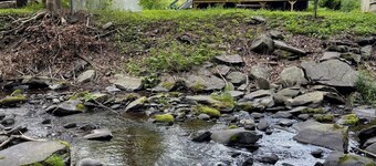 5 minutes to Belleayre! The Birch Creek Cottage