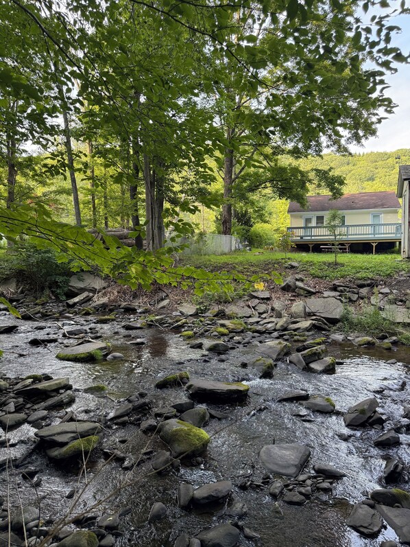 A natural landscape with a stream, rocks, and trees.
