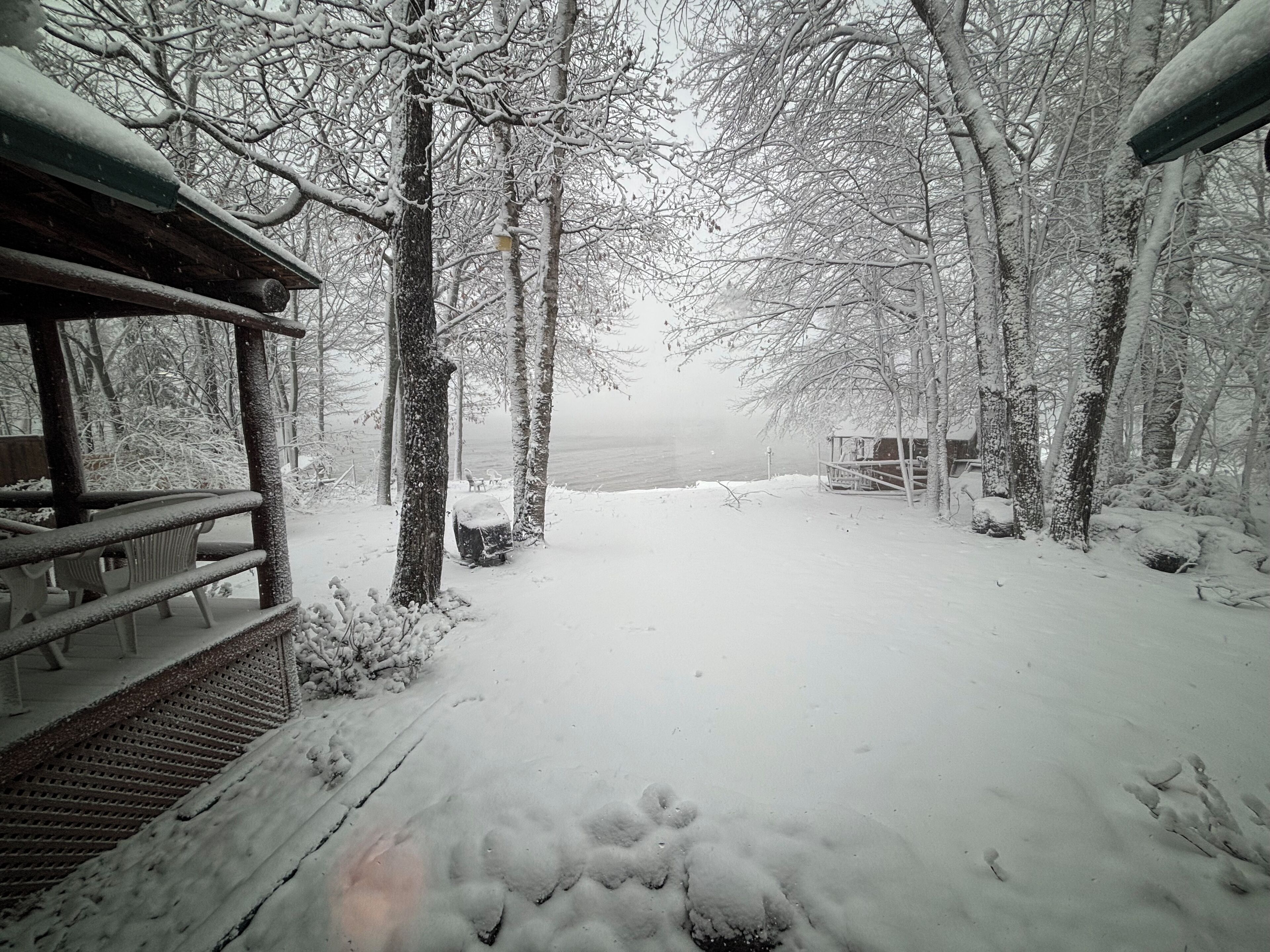 It's snowmobile season!!