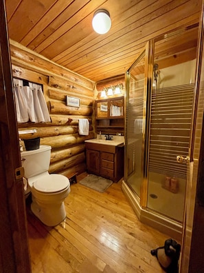 Shower, jetted tub, hair dryer, towels