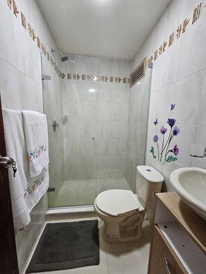 Hair dryer, towels, soap, toilet paper