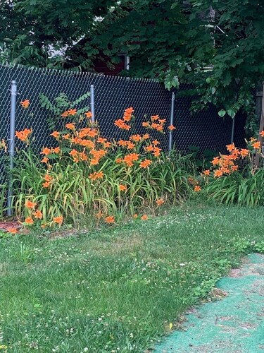 Spacious 4-bedroom apartment in cool Catskill with AC