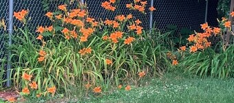 Spacious 4-bedroom apartment in cool Catskill with AC