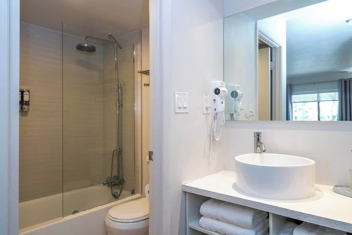Shower, hair dryer, shampoo