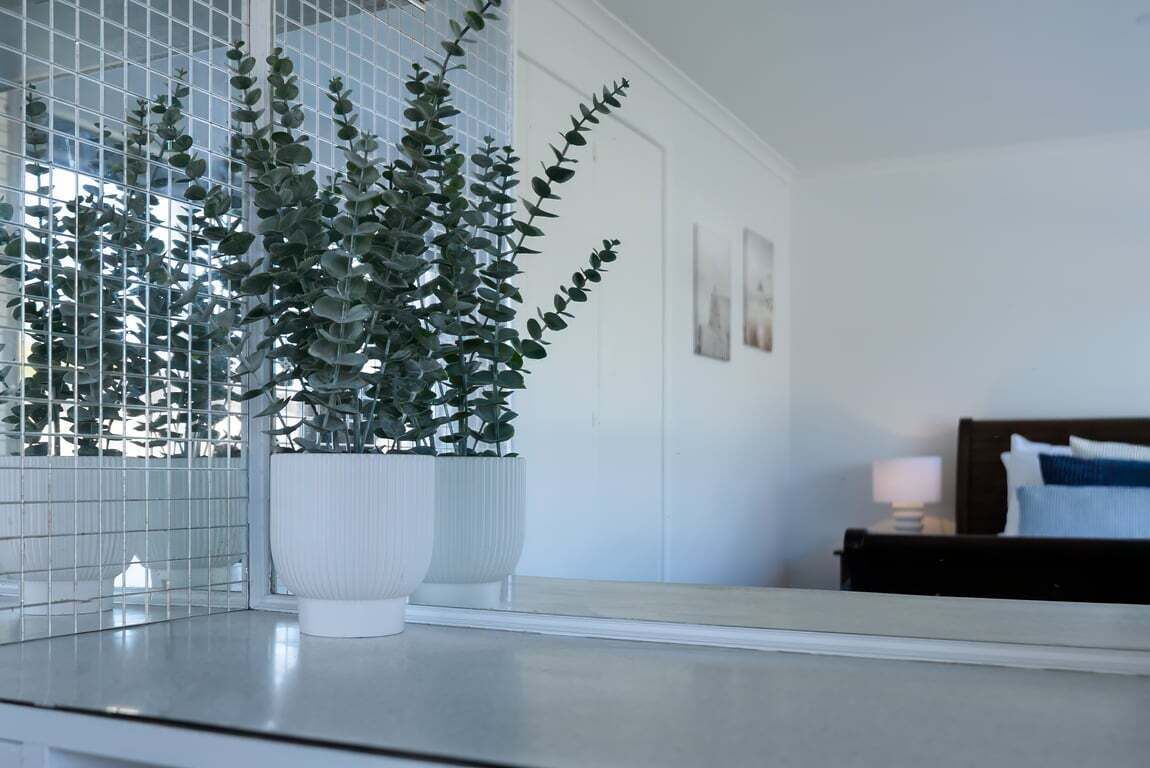 Een moderne kamer met een witte betegelde muur, een bed met een donker hoofdeinde en twee witte planten in potten.