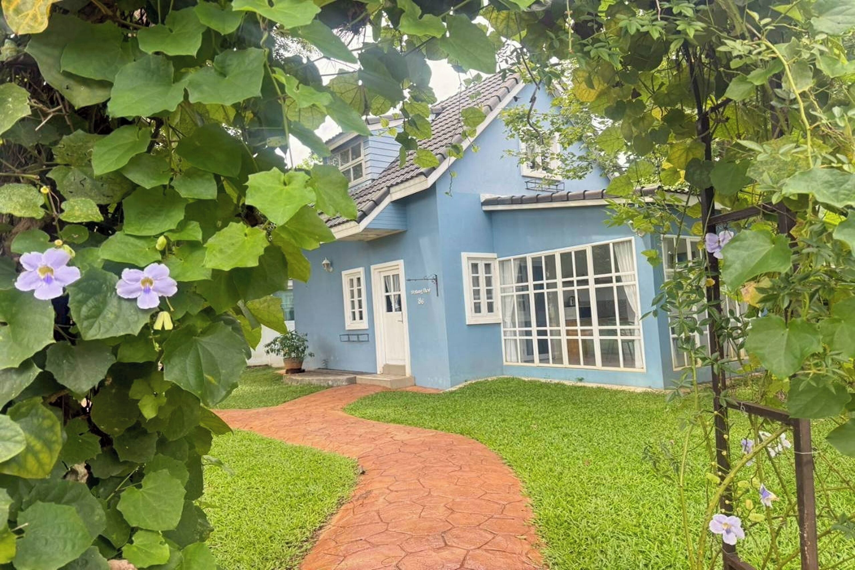 Pemandangan dari kamar