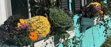 DĂ©tail de lâextĂ©rieur